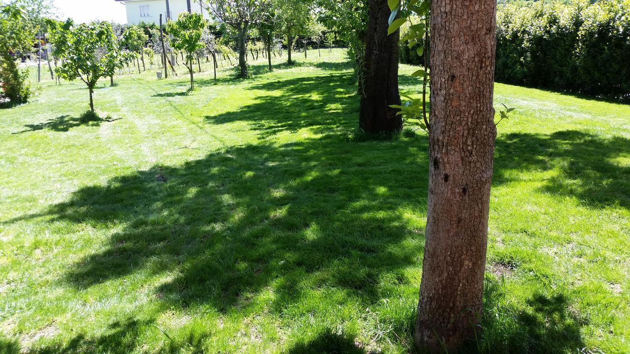 B&B Maison La Coccola Peschiera del Garda Buitenkant foto